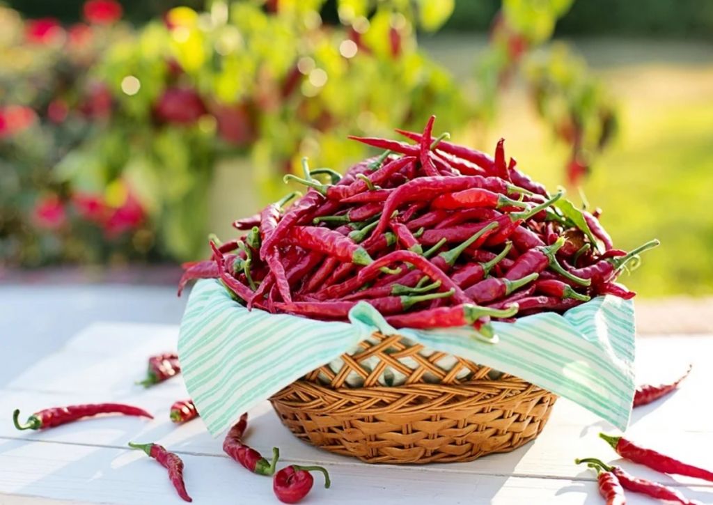 Καυτερές πιπεριές : Ίσως προσφέρουν σημαντικά οφέλη για την υγεία