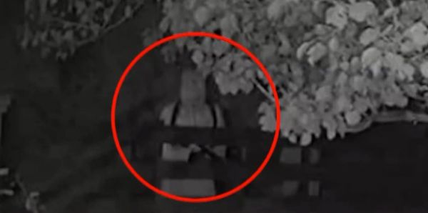 Οργή για τον 32χρονο «τοξοβόλο φοιτητή» που τραυμάτισε σκύλο επειδή τον ενοχλούσε το γάβγισμα