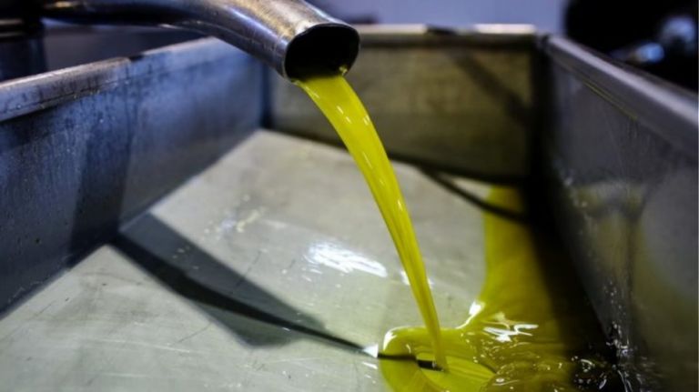 Εντατικοποιούνται οι έλεγχοι σε ελαιοτριβεία