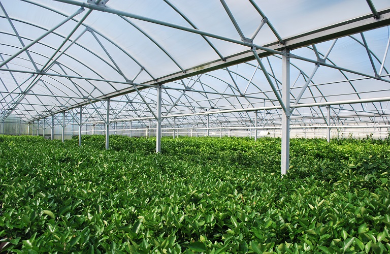 Δ. Μακεδονία: Ανάπτυξη θερμοκηπιακών καλλιεργειών