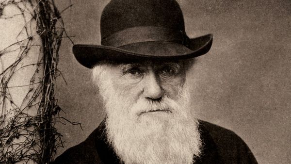 Ο Δαρβίνος δικαιώνεται για τα έντομα που δεν πετούν