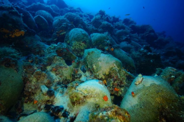 Αποκρυπτογραφώντας 58 αρχαία ναυάγια