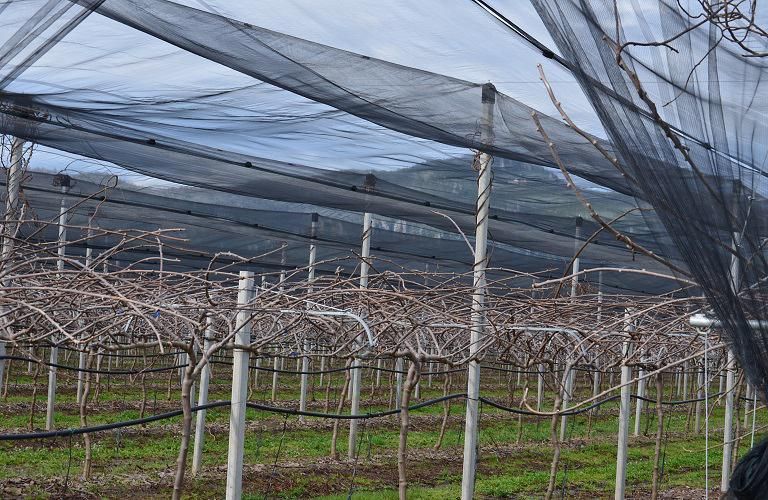 Ξεκινούν οι αιτήσεις στήριξης για το υπομέτρο 5.1