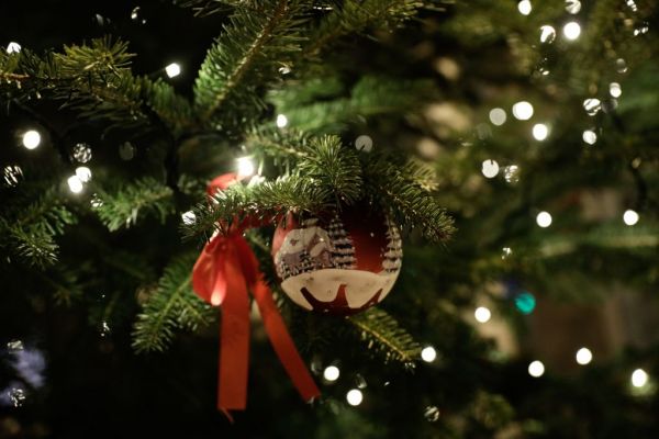 Θεσσαλονίκη : Φωταγωγήθηκε το χριστουγεννιάτικο δέντρο στο ΑΧΕΠΑ – Βούρκωσε ο Ζέρβας