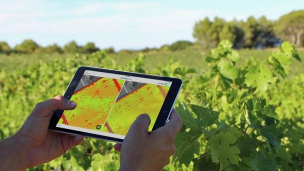 Διεθνής πλατφόρμα για ψηφιακή γεωργία και τρόφιμα