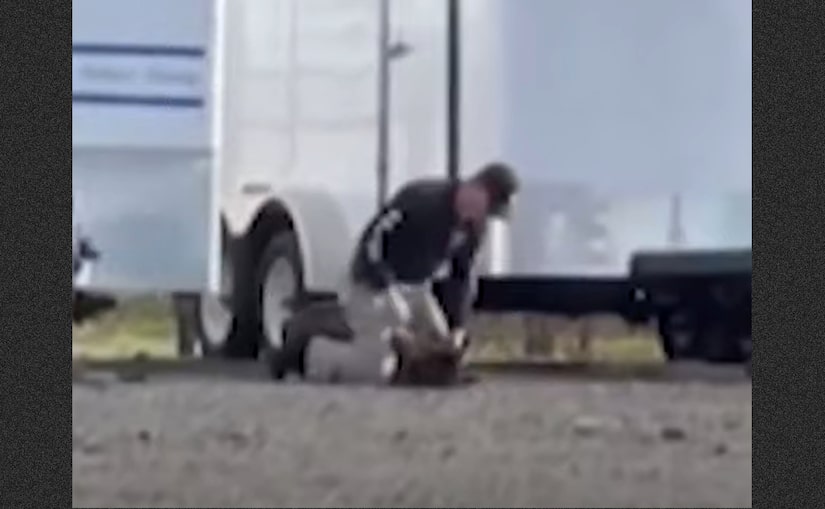 Αστυνομικός στην Καλιφόρνια κακοποιούσε τον σκύλο του γιατί «έπρεπε να τον εκπαιδεύσει»