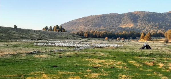 FoodOmicsGR: Η μεγαλύτερη ελληνική ερευνητική σύμπραξη απογειώνει την αγροδιατροφή