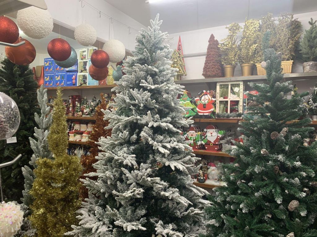 Γεωργιάδης : Εάν δεν τηρηθούν τα μέτρα στα εποχικά καταστήματα θα κλείσουν την άλλη μέρα