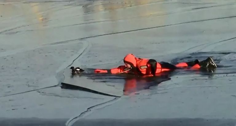 Μόσχα : Διάσωστες έσωσαν τη ζωή μιας… πάπιας από τα παγωμένα νερά