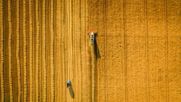 Ασφαλιστική ικανότητα : Παρατείνεται για τους αγρότες έως τον Φεβρουάριο του 2021