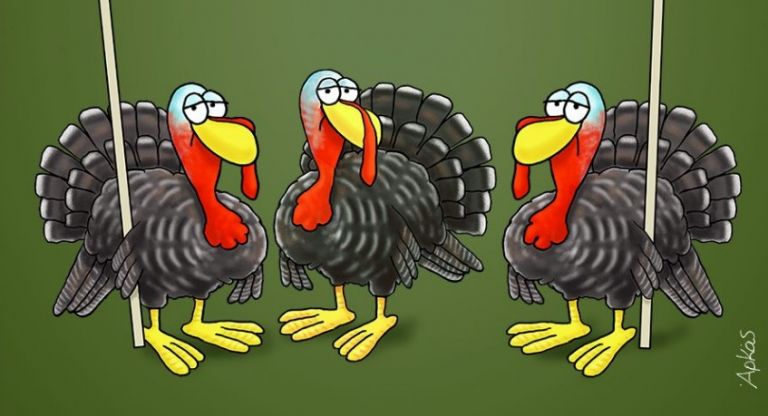 Αρκάς : Η γαλοπούλα δεν… χαίρεται για τα Χριστούγεννα