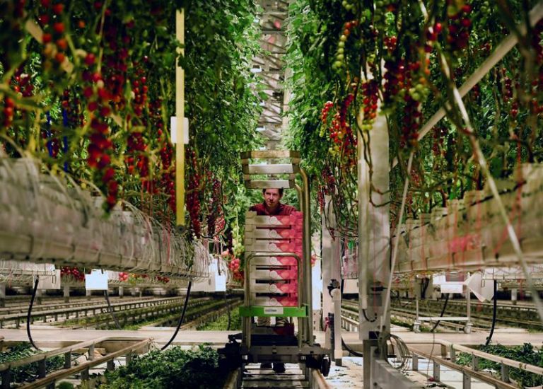 Ανησυχία Ολλανδών για άτακτο Brexit: Μεγάλη πιθανότητα να σαπίσουν τα νωπά προϊόντα στα σύνορα