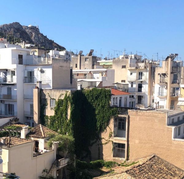 Στο «Jungle in the City» θα δεις τη φύση να ανακαταλαμβάνει την Αθήνα