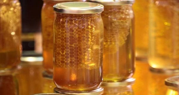 11ο Διαδικτυακό Συνέδριο Ελληνικού Μελιού και προϊόντων Μέλισσας