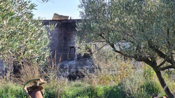 Λαμία : Φρικτός θάνατος για δέκα κυνηγόσκυλα στην αποθήκη με τις φιάλες υγραερίου