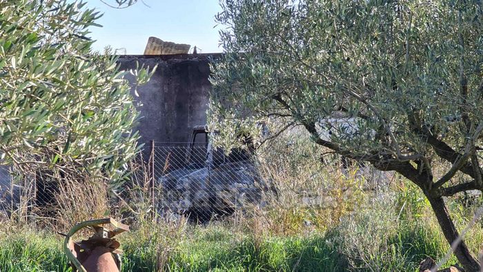 Λαμία : Φρικτός θάνατος για δέκα κυνηγόσκυλα στην αποθήκη με τις φιάλες υγραερίου