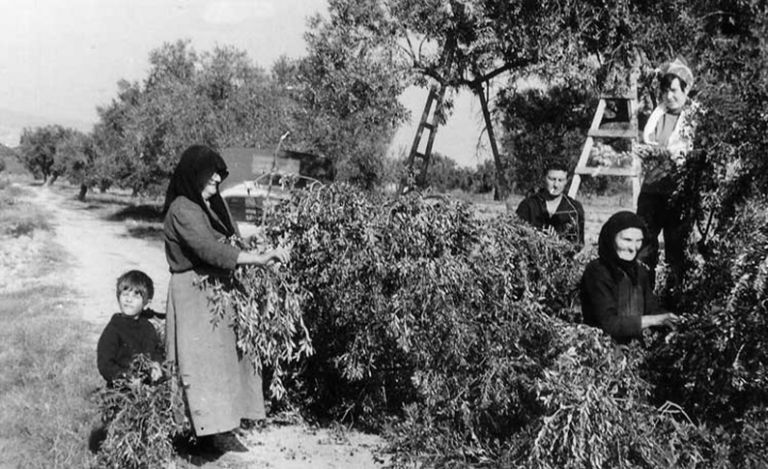 Φέτος θα κάνουμε μακροβούτια στο ελαιόλαδο!