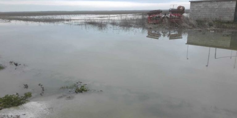 Υπουργείο Αγροτικής Ανάπτυξης: Πάνω από 33 εκατομμύρια ευρώ σε πληγέντες από την πανδημία παραγωγούς