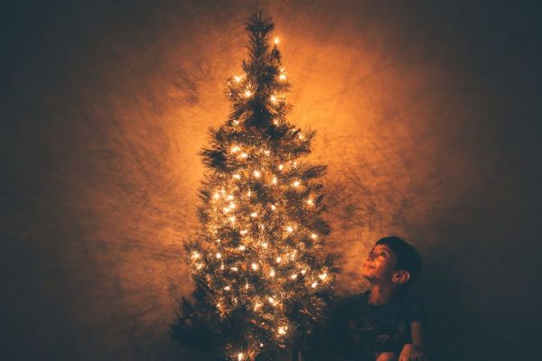 Αληθινό ή ψεύτικο χριστουγεννιάτικο δέντρο;