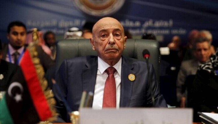 Ανατροπές στη Λιβύη : Εκπρόσωπος του Σάλεχ στην Αγκυρα και τουρκο-αιγυπτιακή... προσέγγιση