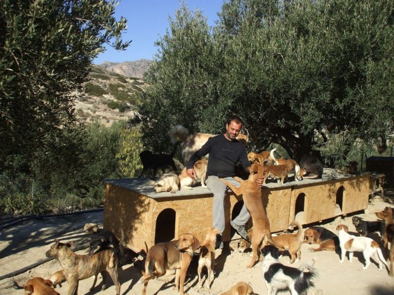 «Takis Shelter»: Μια όαση στοργής για τα αδέσποτα