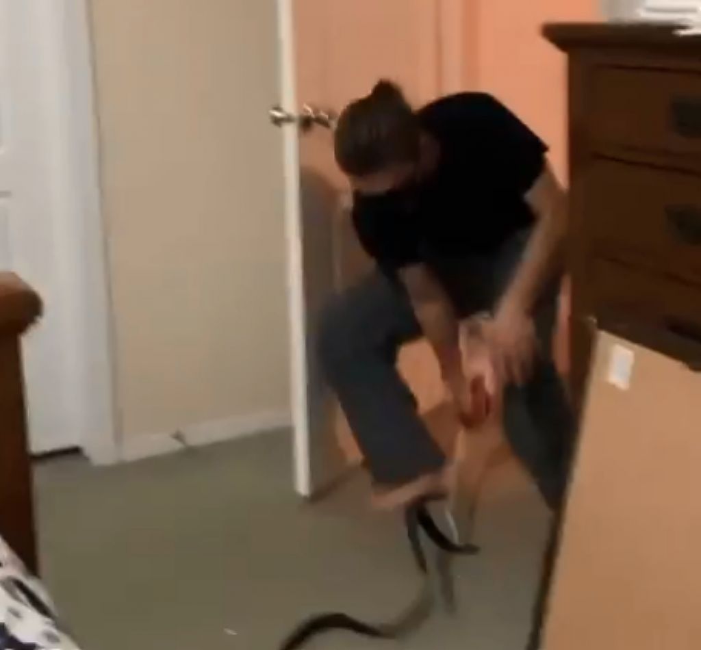 Γυναίκα σε viral βίντεο φρικάρει τον άντρα της με μια ζώνη επειδή εκείνος φοβάται τα φίδια – Βίντεο