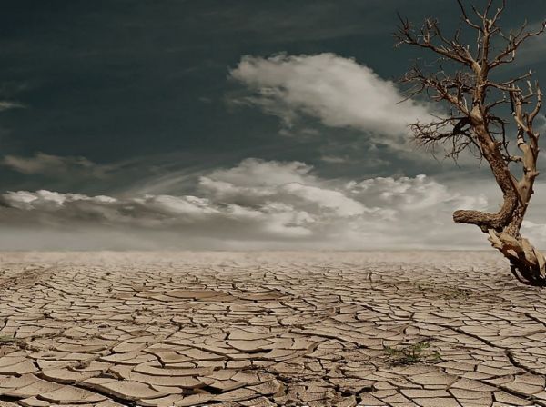 Κλιματική αλλαγή : Το 2020 θα ήταν το έτος που ο άνθρωπος θα προστάτευε το περιβάλλον – Αυτό δεν έγινε ποτέ