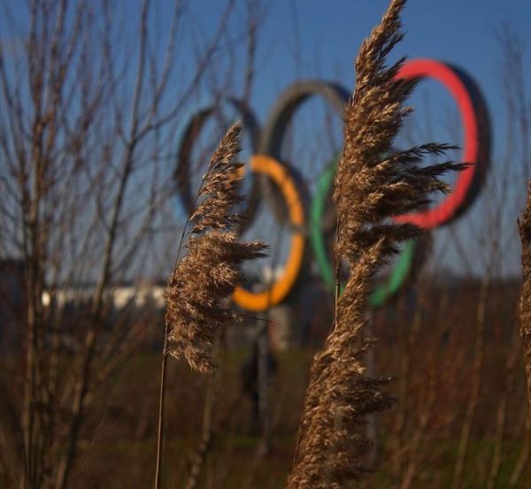 Ένας κήπος για τα θύματα του κοροναϊού στην καρδιά του Λονδίνου