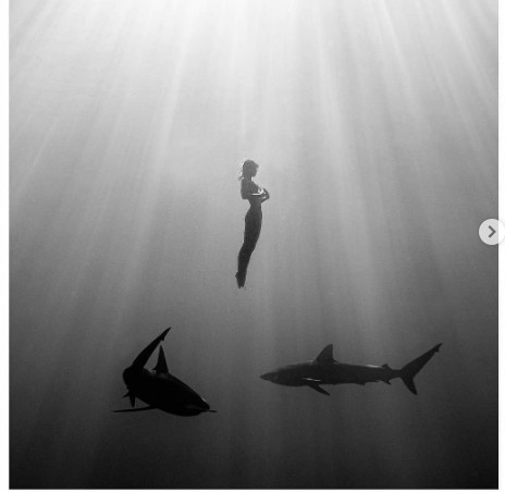 Μοντέλο φωτογραφίζεται γυμνό ανάμεσα σε…καρχαρίες