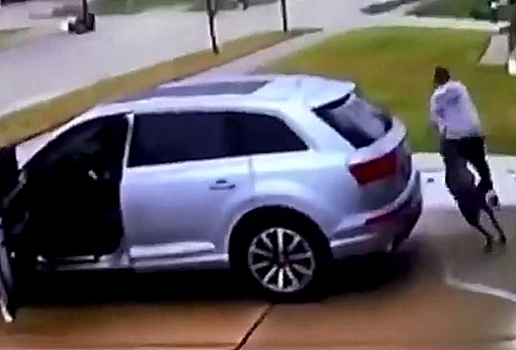 Αυτός ο σκύλος έγινε viral όταν κυνήγησε κάποιον νομίζοντας ότι είναι κλέφτης