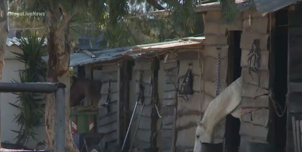 Κορωπί : Νέα στοιχεία για την απόπειρα βιασμού ανήλικης σε σχολή ιππασίας