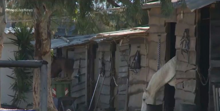 Κορωπί : Νέα στοιχεία για την απόπειρα βιασμού ανήλικης σε σχολή ιππασίας