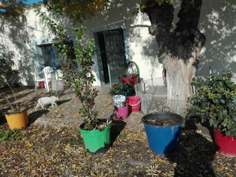 Κουφοντίνας : Αυτές είναι οι αγροτικές φυλακές που διέμενε