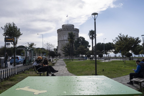 Θεσσαλονίκη : Φιλόζωοι έφτιαξαν σπίτι για αδέσποτο σκύλο - Είναι αδιάβροχο και «βλέπει» τον Λευκό Πύργο