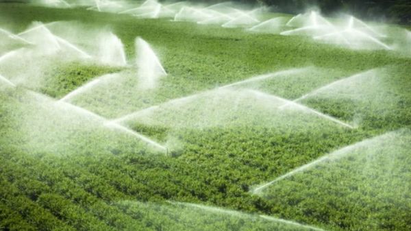 Δυτ. Μακεδονία: Πορεία υλοποίησης έργων για τον πρωτογενή τομέα