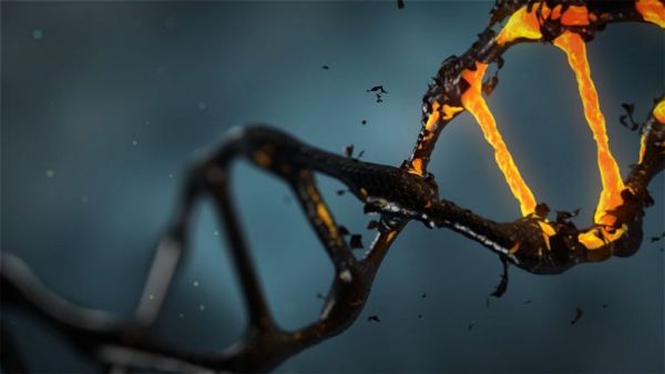 Μυστηριώδεις τετραπλές έλικες DNA απεικονίστηκαν για πρώτη φορά σε κύτταρα