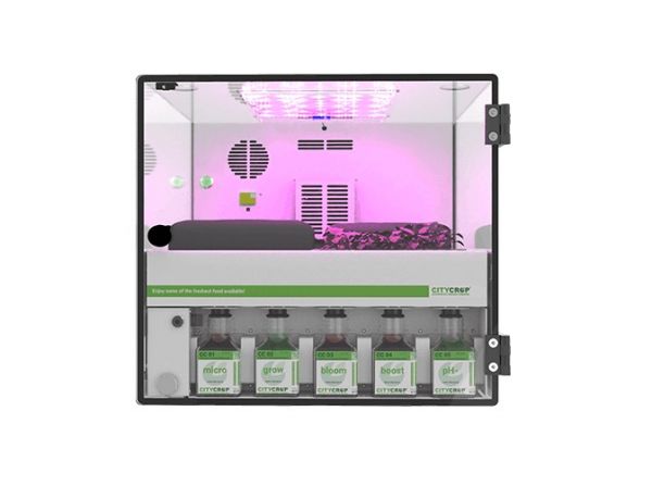 Κόλιανδρος από το γραφείο του Δημάρχου; Κι όμως γίνεται