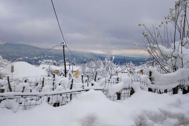 Καιρός : Σε χαμηλά επίπεδα η χιονοκάλυψη στην Ελλάδα για δεύτερο χειμώνα [χάρτης]