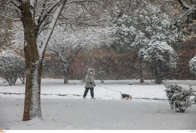 Κακοκαιρία «Λέανδρος» : Στην κατάψυξη η χώρα – Το θερμόμετρο άγγιξε τους μείον 18 βαθμούς