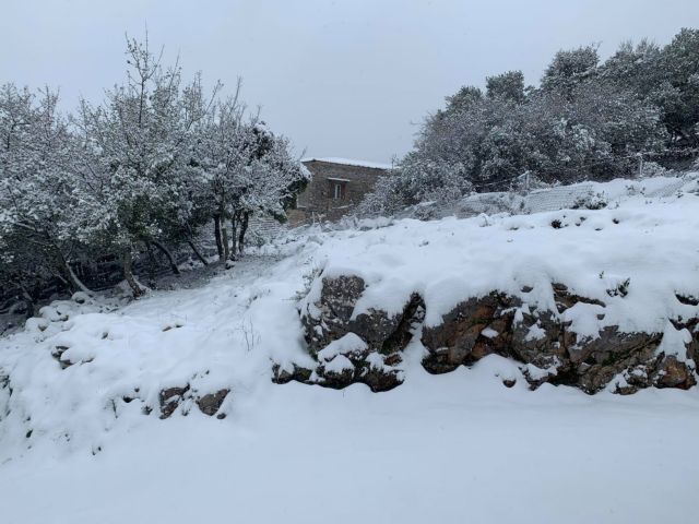 Κακοκαιρία «Λέανδρος» : Συνεχίζει να «δείχνει τα δόντια του» με δριμύ ψύχος – Πώς θα κινηθεί τις επόμενες ώρες [χάρτες]