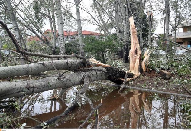 Κέρκυρα : Καταστροφές από την κακοκαιρία – Πλημμύρες, διακοπές ρεύματος, ξεριζώθηκαν δέντρα