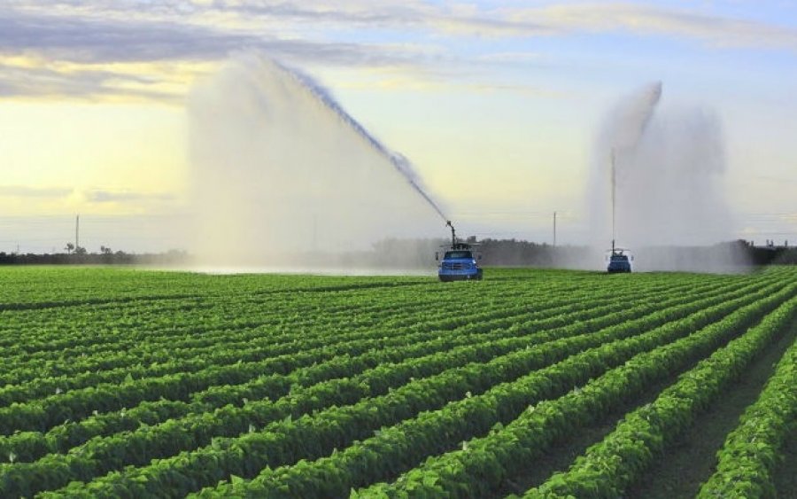 Ιόνιο: Παράταση προγράμματος αγροτικού εξηλεκτρισμού