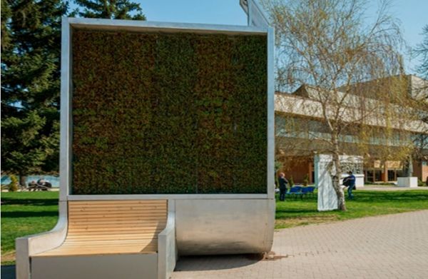 City Trees : Έξυπνα φίλτρα από βρύα βελτιώνουν την ποιότητα του αέρα στις πόλεις