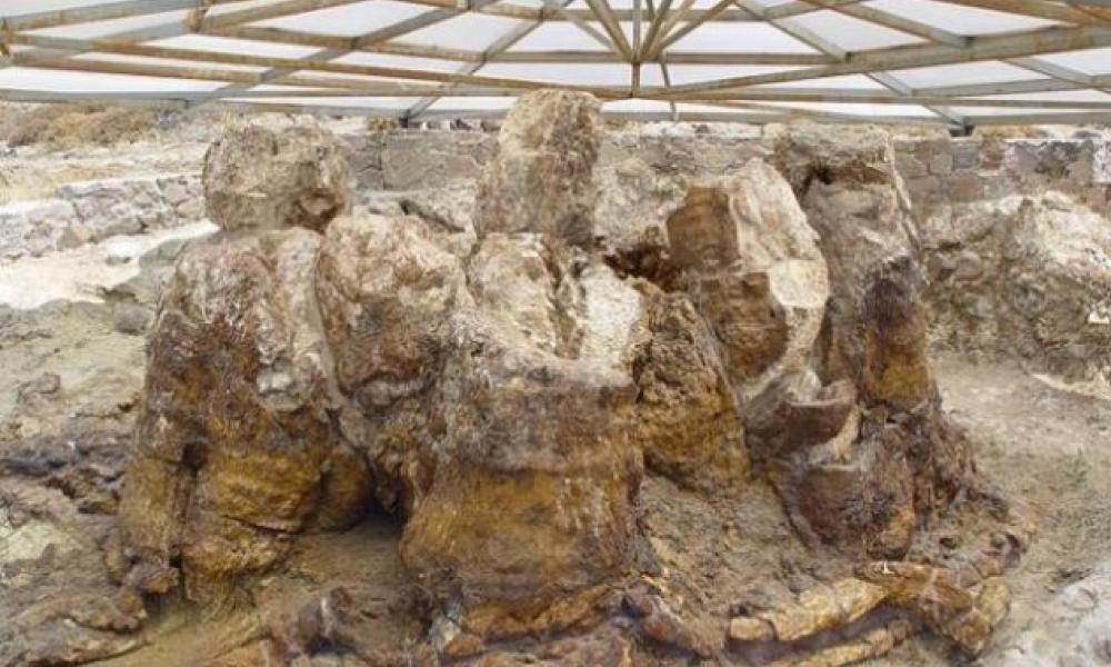 Μυτιλήνη: Έρχεται υπαίθριο ανοιχτό μουσείο με 15 θέσεις απολιθωμάτων
