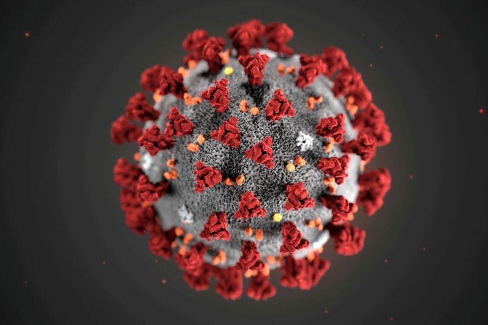 Η επίδραση του νέου στελέχους SARS-CoV-2 στην αποτελεσματικότητα των εμβολίων