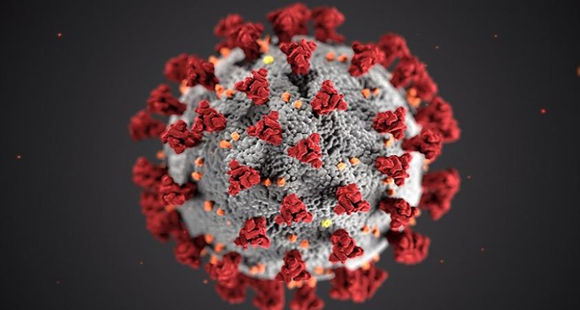 Κοροναϊός : Στα 32 τα κρούσματα του μεταλλαγμένου ιού στην Ελλάδα - Πού εντοπίζονται