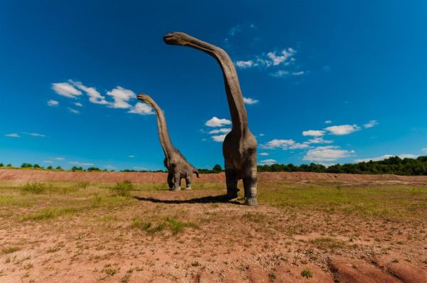 Νέο είδος δεινόσαυρου ίσως ήταν το μεγαλύτερο χερσαίο ζώο που έζησε ποτέ