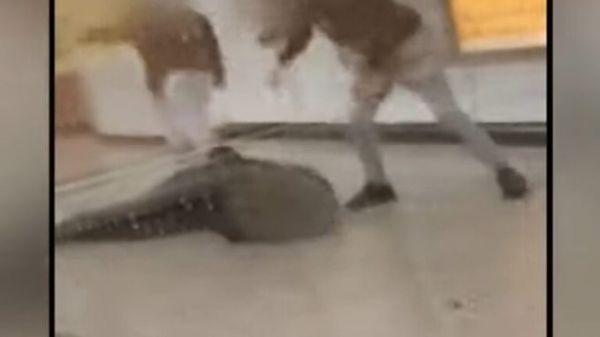 Αυτές οι ποινές προβλέπονται για τους «νταήδες» του Μετρό