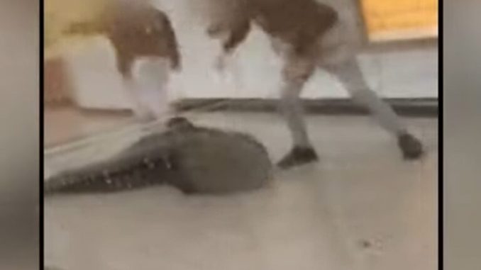 Επίθεση στο Μετρό: Τι δείχνουν τα νέα στοιχεία της ΕΛ.ΑΣ. για τους δράστες – Πώς διέφυγαν