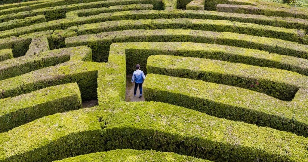 Πώς το GPS του εγκεφάλου χαρτογραφεί τον χώρο